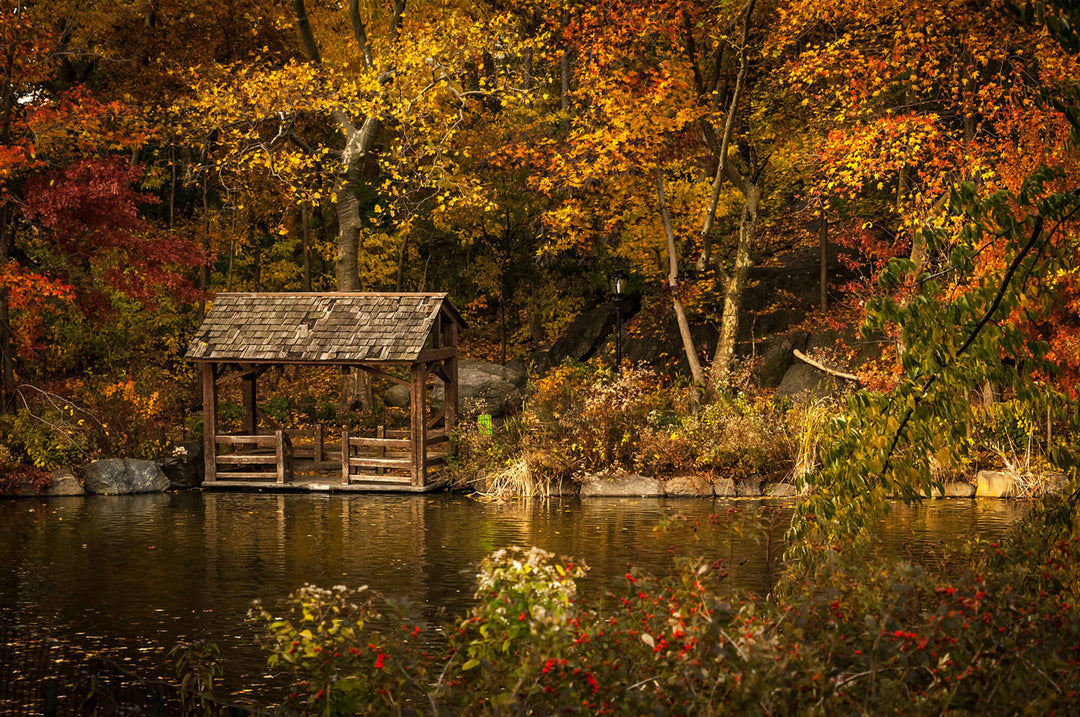Autumn Lakeside puzzle scene with vibrant fall colors, a rustic dock by a serene lake, perfect for relaxing and focus.