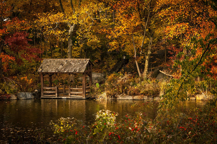 Autumn Lakeside puzzle scene with vibrant fall colors, a rustic dock by a serene lake, perfect for relaxing and focus.