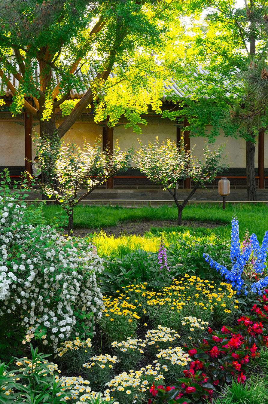 Lush garden scenery featuring vibrant flowers and green trees, perfect for puzzle lovers to connect with nature.