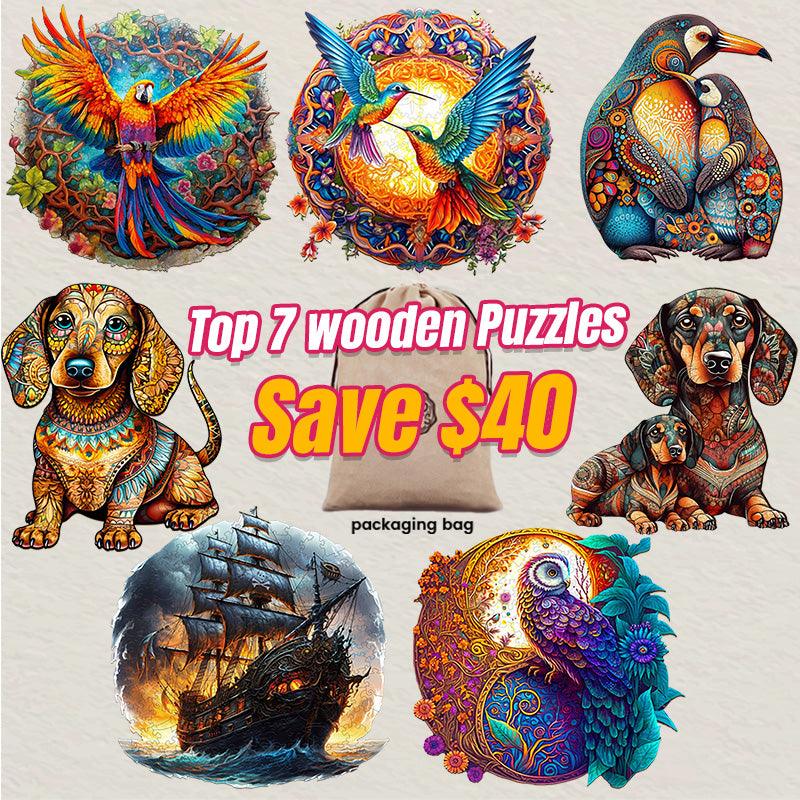 2024 Top 7 Wooden Puzzles Bundle in One Package