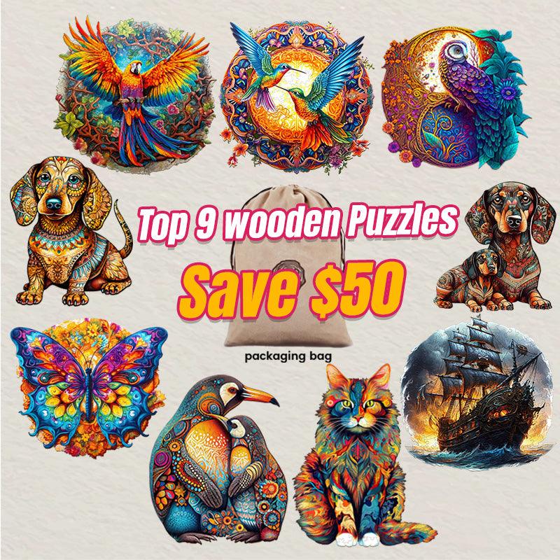 2024 Top 9 Wooden Puzzles Bundle in One Package