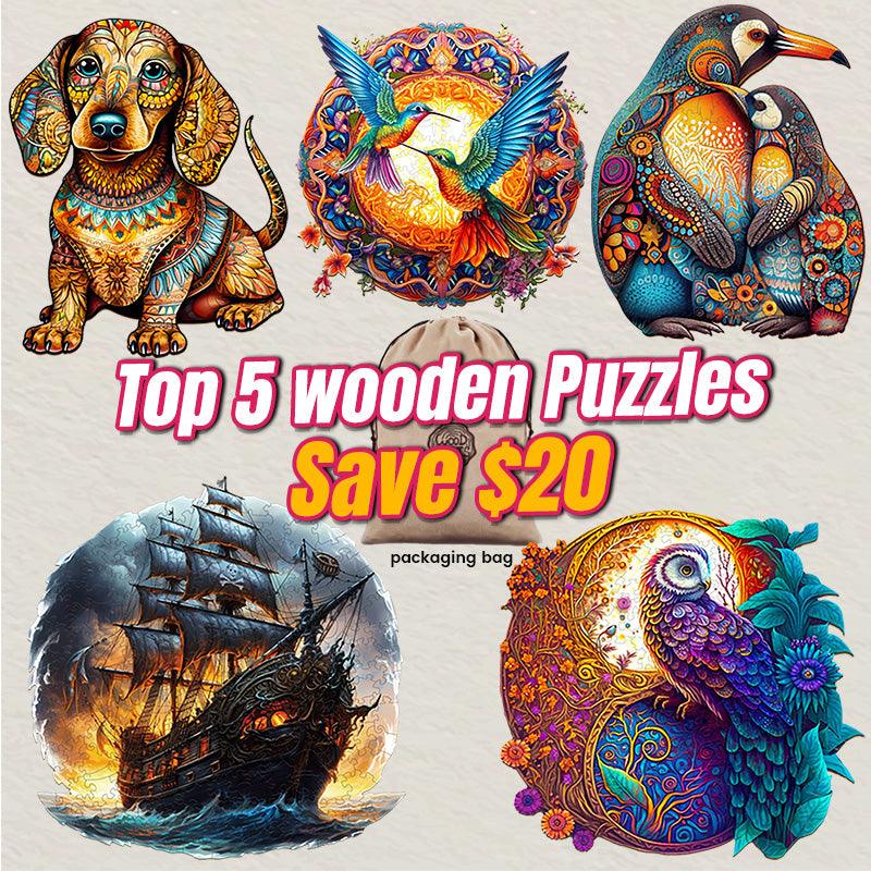 2024 Top 5 Wooden Puzzles Bundle in One Package