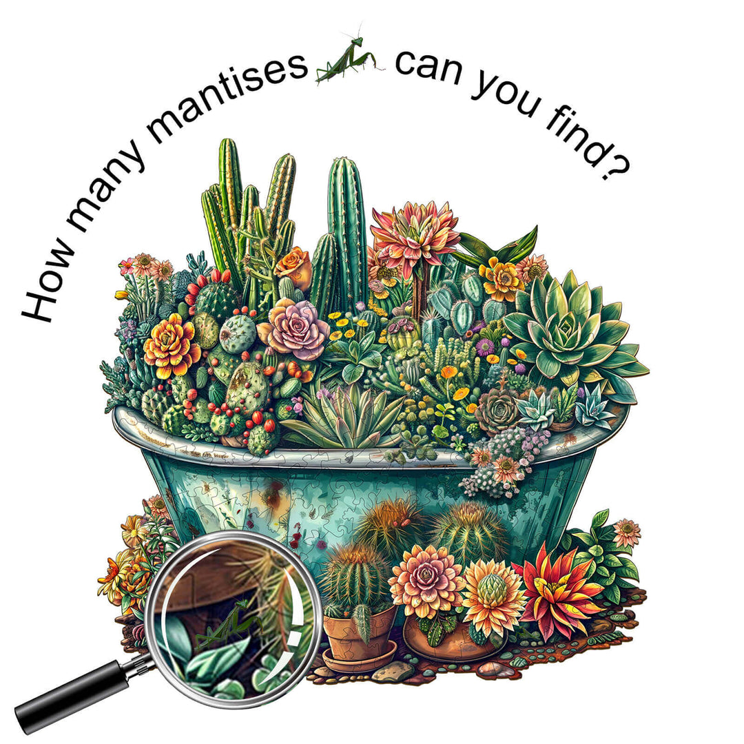 Colorful illustration of a potted succulent garden with a magnifying glass, asking how many mantises can you find?