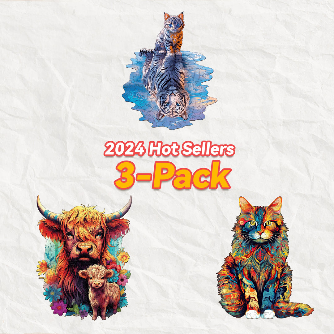 Colorful 2024 Hot Sellers 3-Pack featuring vibrant animal art, including a cat and a Highland cow with a calf.