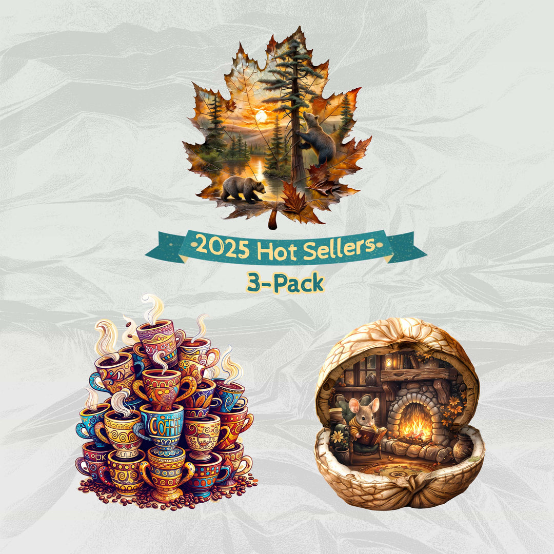 2025 Hot Sellers 3-Pack
