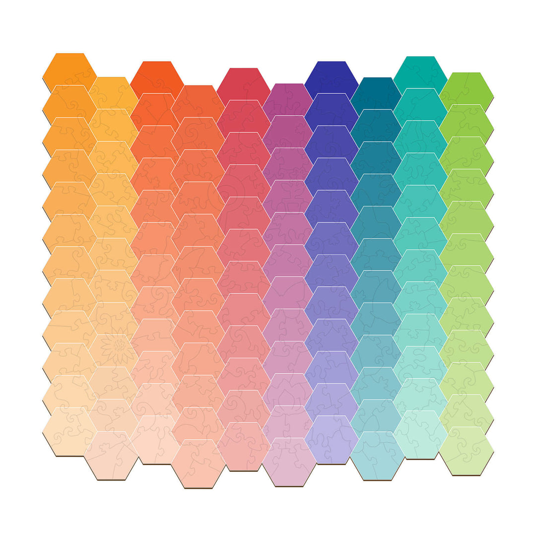 Rainbow Gradient Wooden Jigsaw Puzzle featuring colorful hexagonal pieces for focused and intelligent play.