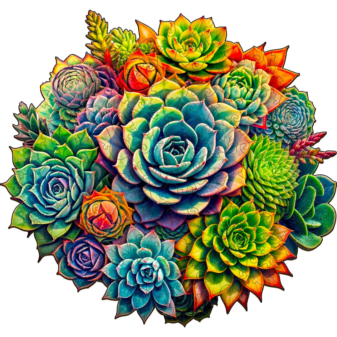 Colorful collection of succulent plants in a wooden jigsaw puzzle, perfect for focus and mental stimulation.