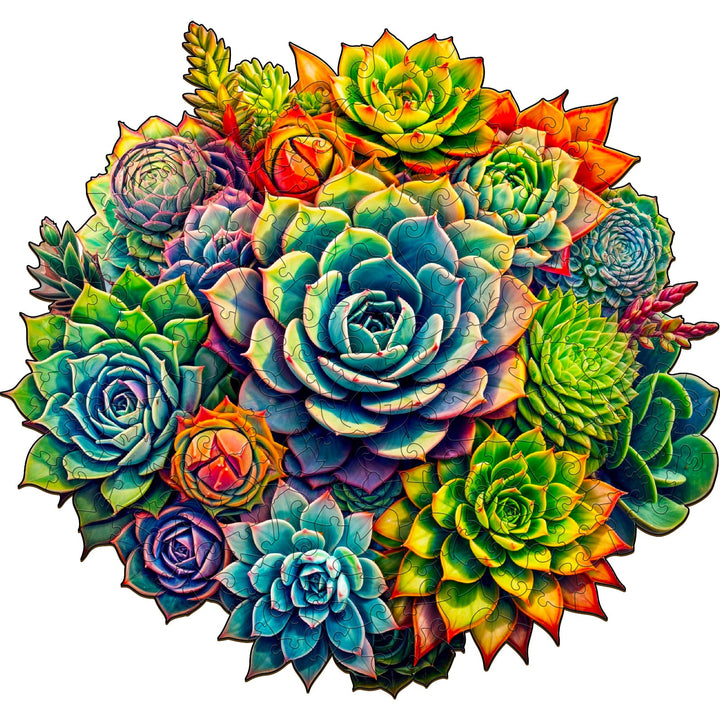 Succulent Plants-3 Wooden Jigsaw Puzzle-Woodbests