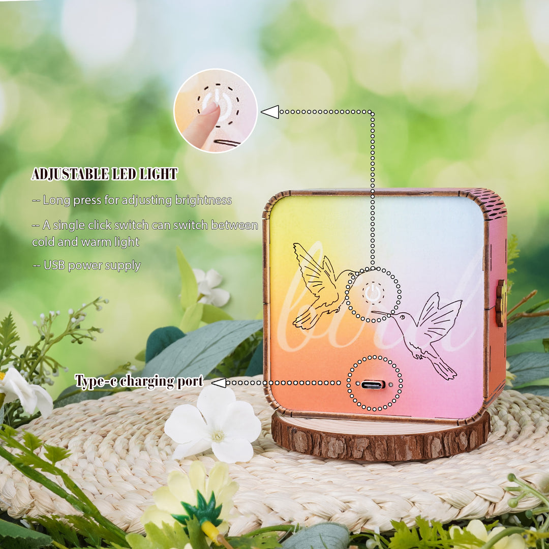 3D wooden flower fairy night light with adjustable LED brightness settings in a nature setting.