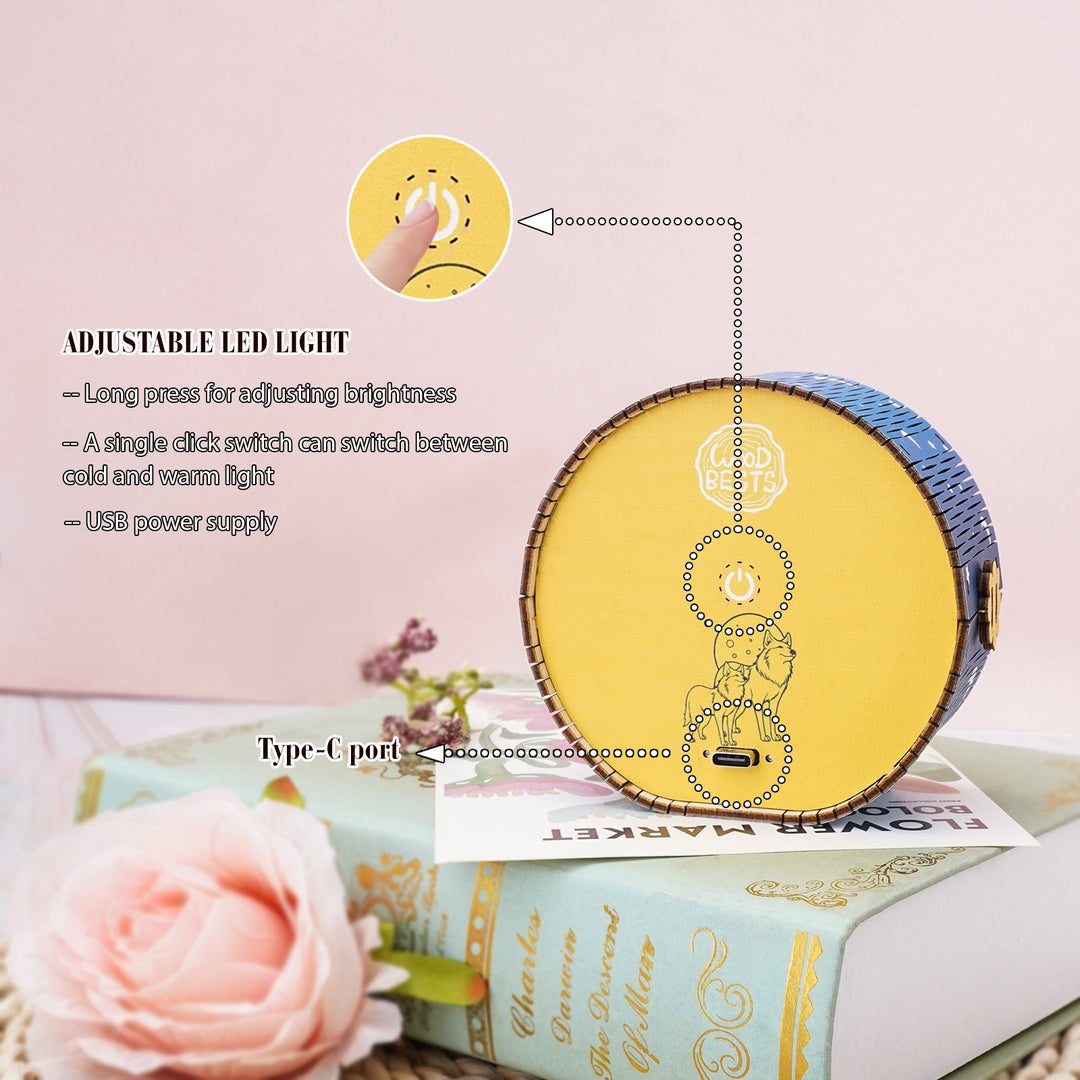 Close-up of adjustable LED light features on the Golden Moon Dream Kit with USB power supply and switch details.