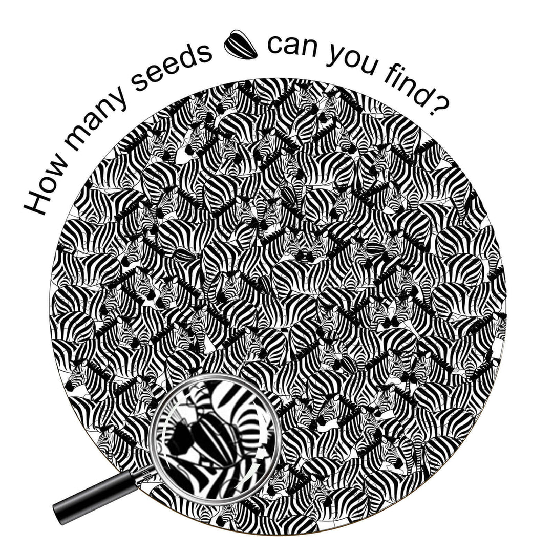 Seek and find Melon seeds puzzle featuring zebra patterns, encouraging focus and exploration in mind games.