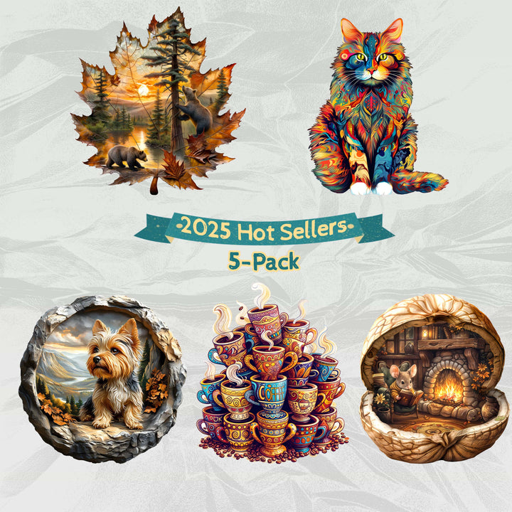 2025 Hot Sellers 5-Pack