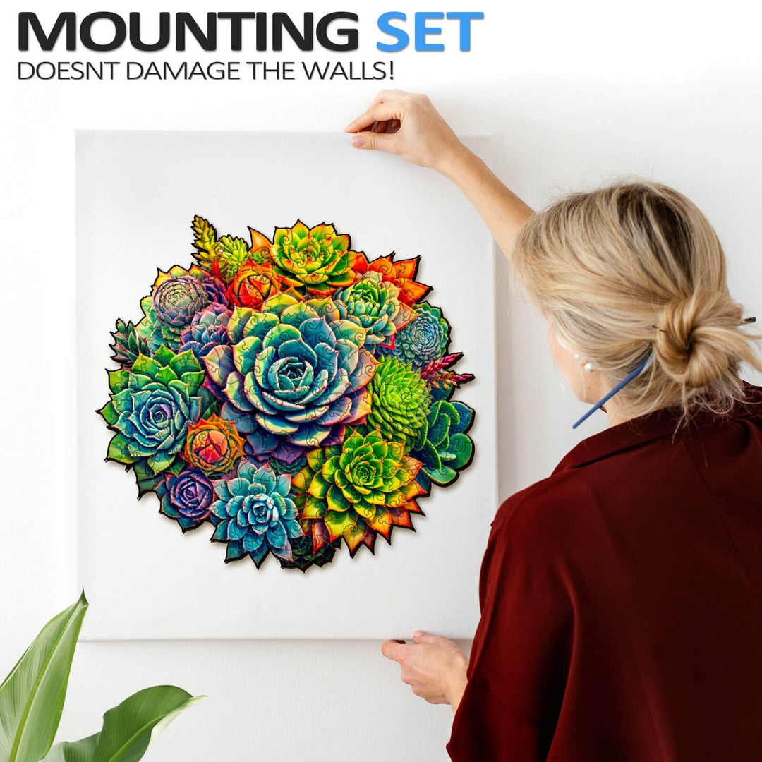 Person placing a vibrant succulent plants jigsaw puzzle on a wall using a mounting set that doesn't damage the surface.