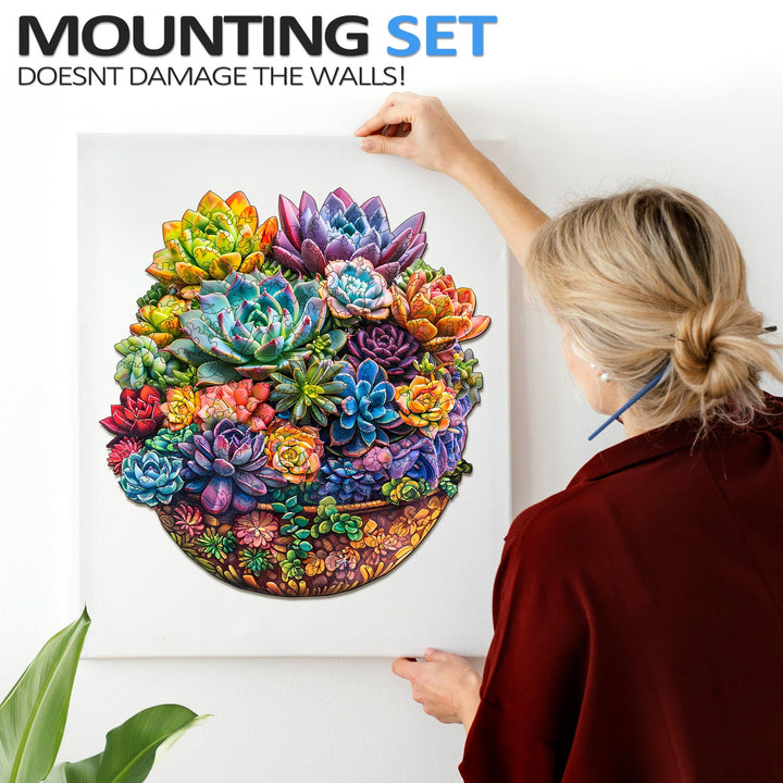 A woman hanging a vibrant succulent wall art, showcasing colorful plants in a pot, with a mounting set that doesn't damage walls.