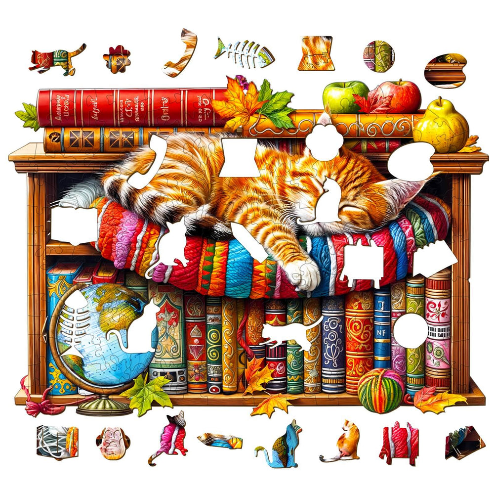 Dreamy Tabby Cat-1 wooden jigsaw puzzle pieces featuring a cozy tabby cat on colorful books.