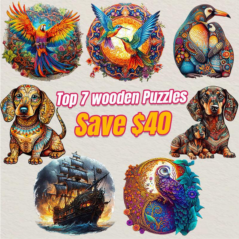 2024 Top 7 Wooden Puzzles Bundle in One Package