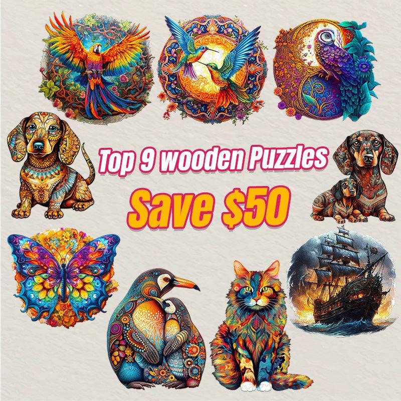 2024 Top 9 Wooden Puzzles Bundle in One Package