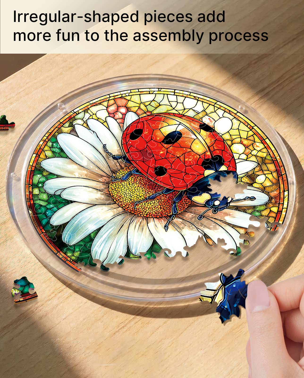 Acrylpuzzle-Sonnenfänger - Marienkäfer auf Gänseblümchen