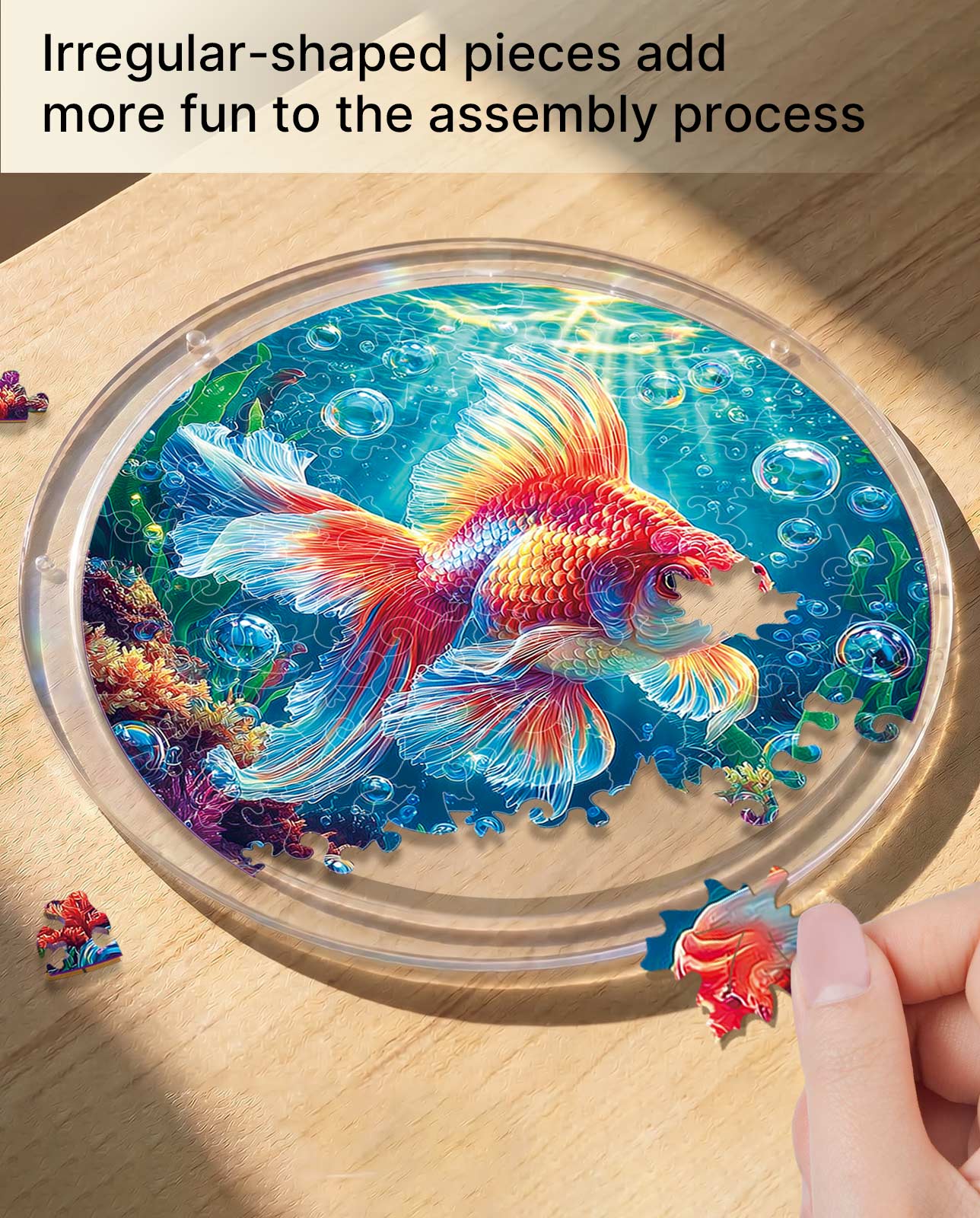 Acrylpuzzle-Sonnenfänger - Sternenflammen-Goldfisch
