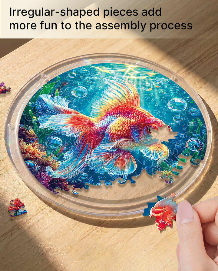 Puzzle en acrylique Attrape-soleil - Poisson Rouge Flamme d'Étoile