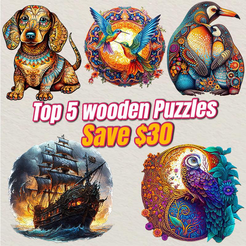 2023 Top 5 Wooden Puzzles Bundle in One Package-Woodbests