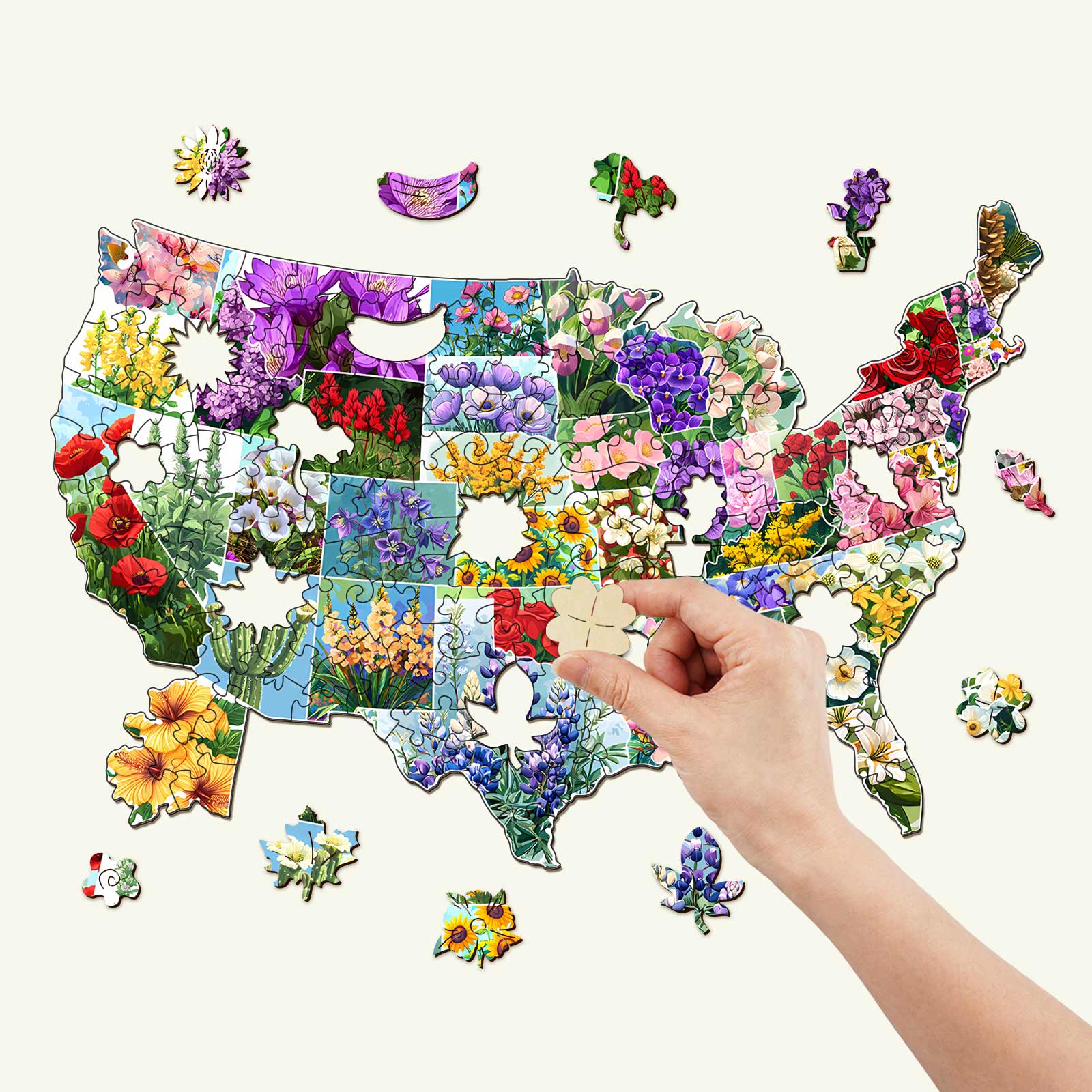 USA State Flowers Wooden Jigsaw Puzzle being assembled with vibrant floral illustrations of each state.