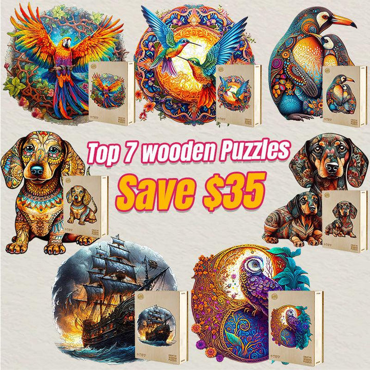 2023 Top 7 Wooden Puzzles Bundle in One Package