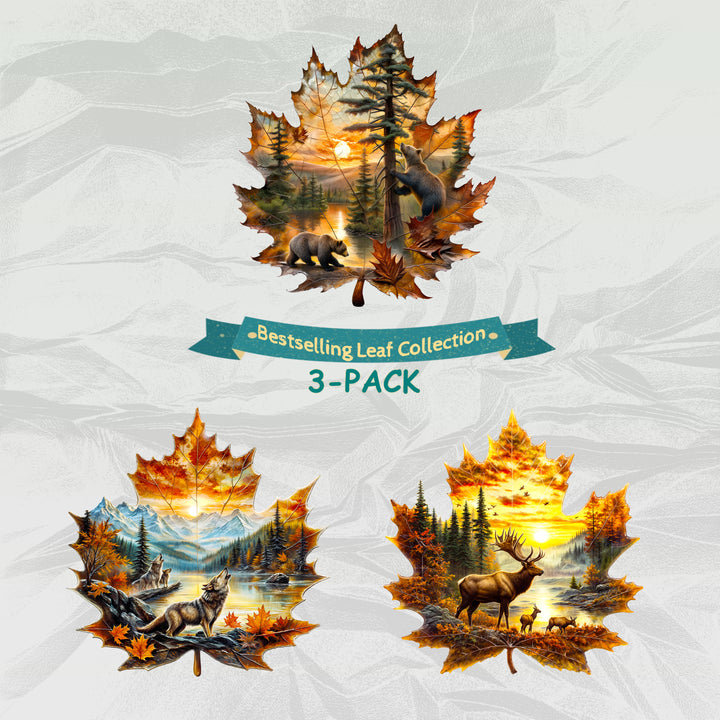 Best-Selling Leaf Collection 3-Pack