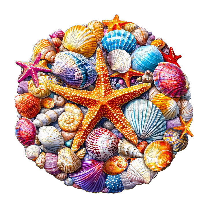 Colorful Shells Wooden Jigsaw Puzzle - Woodbests