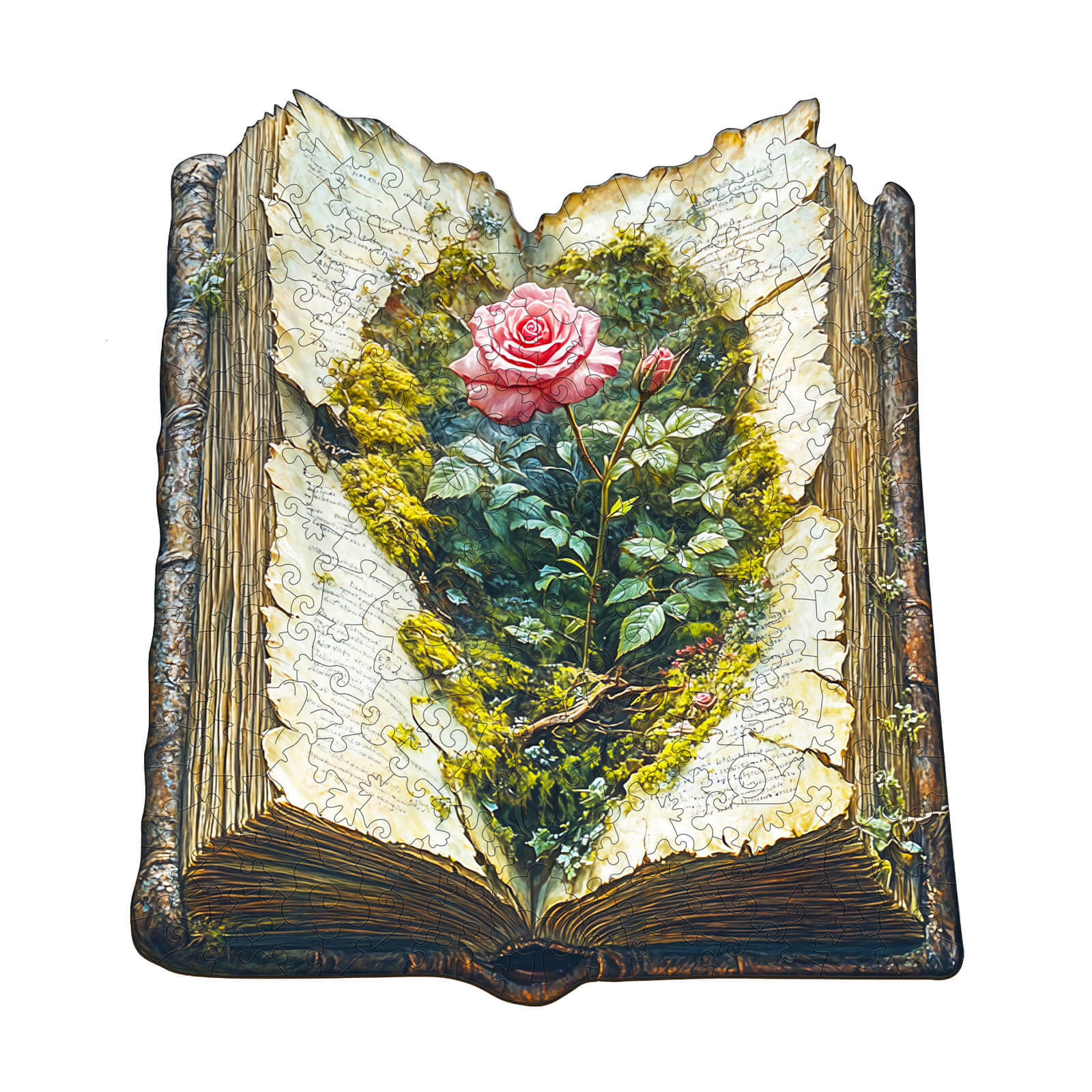 The Last Bloom wooden jigsaw puzzle featuring a rose emerging from an open book, ideal for mental focus and exploration.
