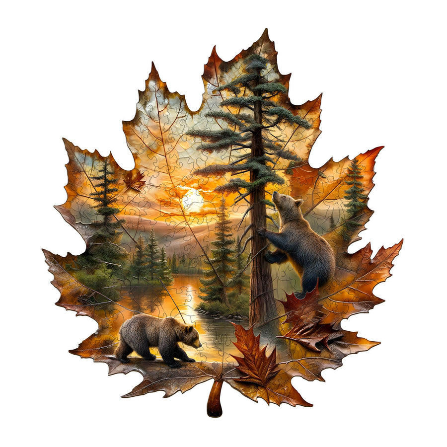 Woodbests Official: Wooden Puzzles For Adults And Kids