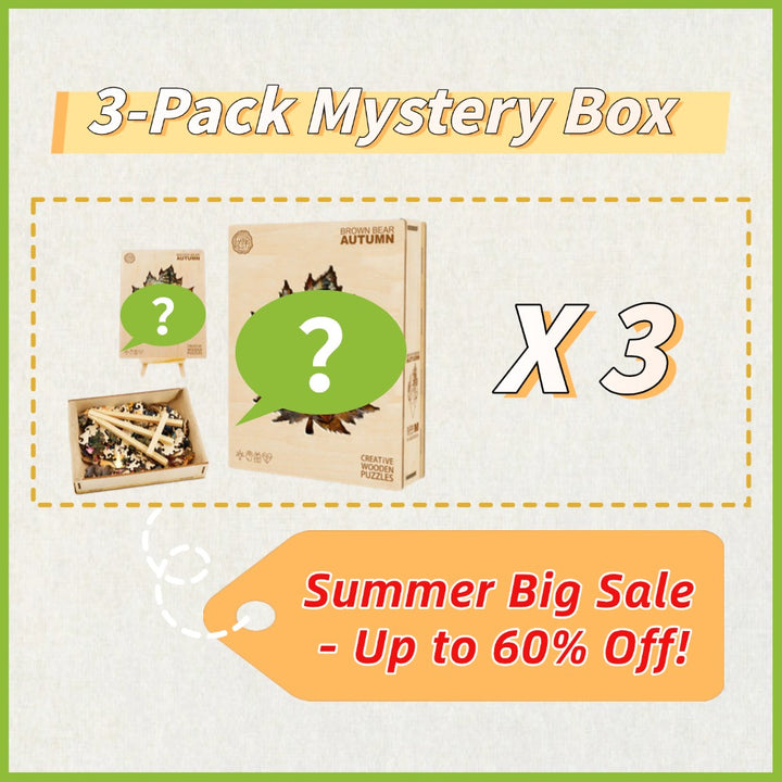 3-Pack Mystery Gift Box: Wooden Puzzle Bestsellers