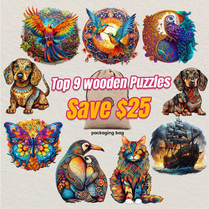 2023 Top 9 Wooden Puzzles Bundle in One Package