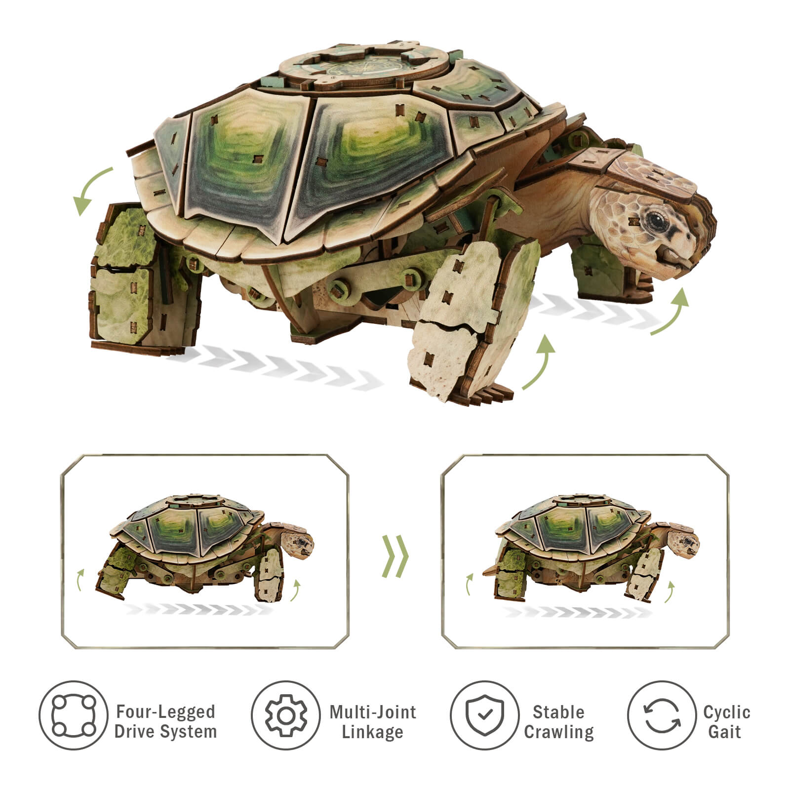 3D Wooden Mechanical Kit - Land Tortoise