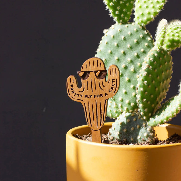 Wooden Plant Stand & Indoor Plant Gift, Suitable for Women, Plant Lovers, Birthday Gifts