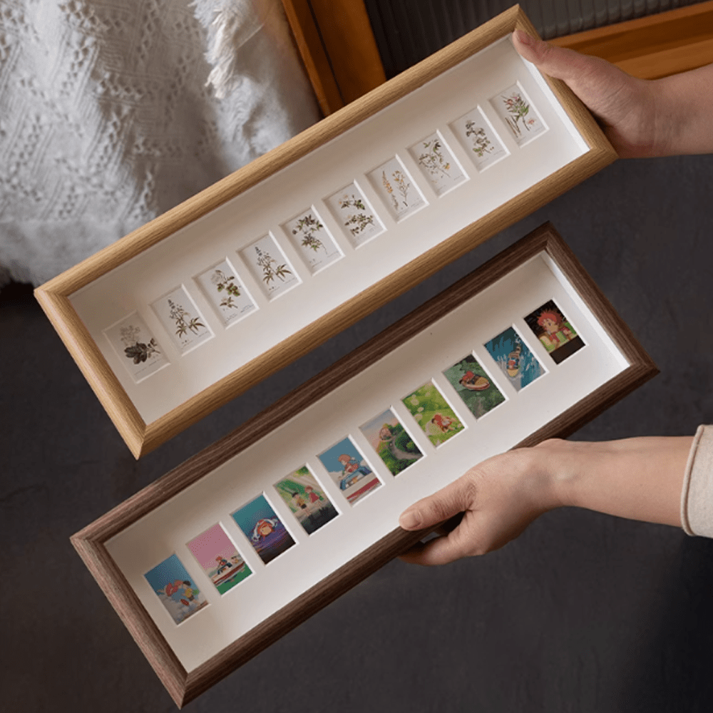 Shell Insect Specimen Photo Frame Ornaments