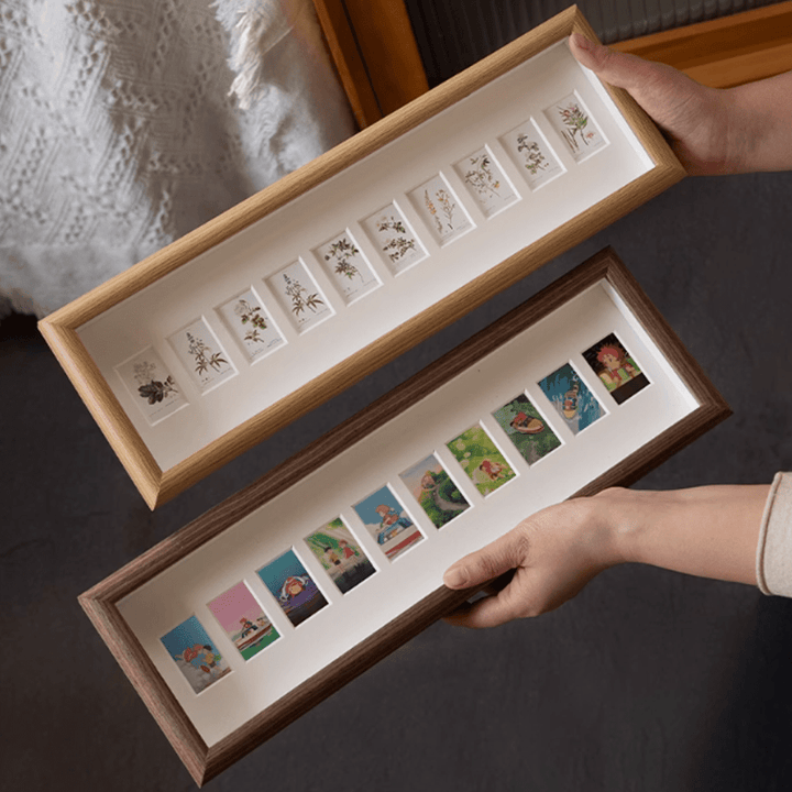 Shell Insect Specimen Photo Frame Ornaments