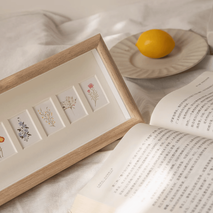 Shell Insect Specimen Photo Frame Ornaments