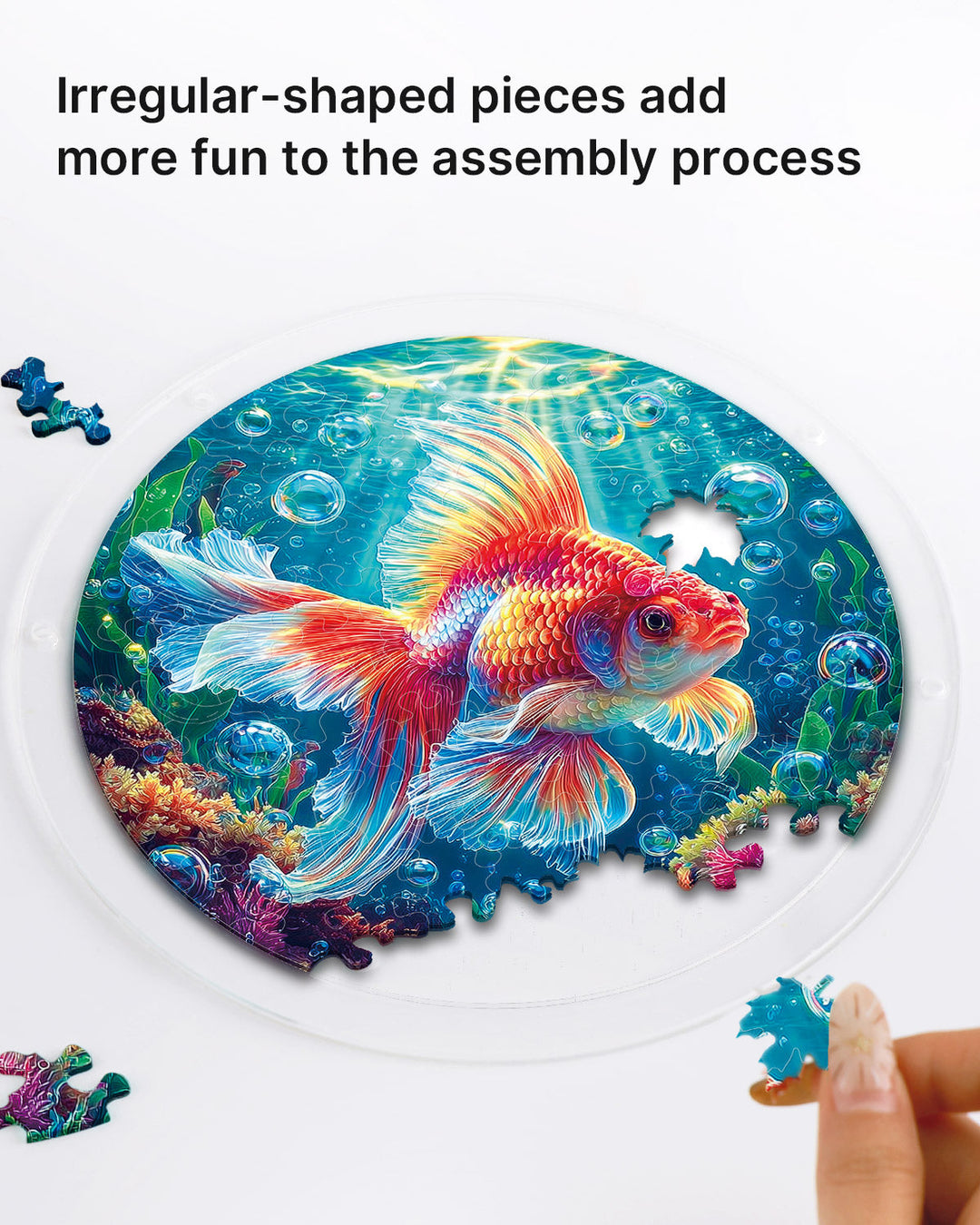 Acrylic Jigsaw Puzzle Suncatcher - Starflame Goldfish