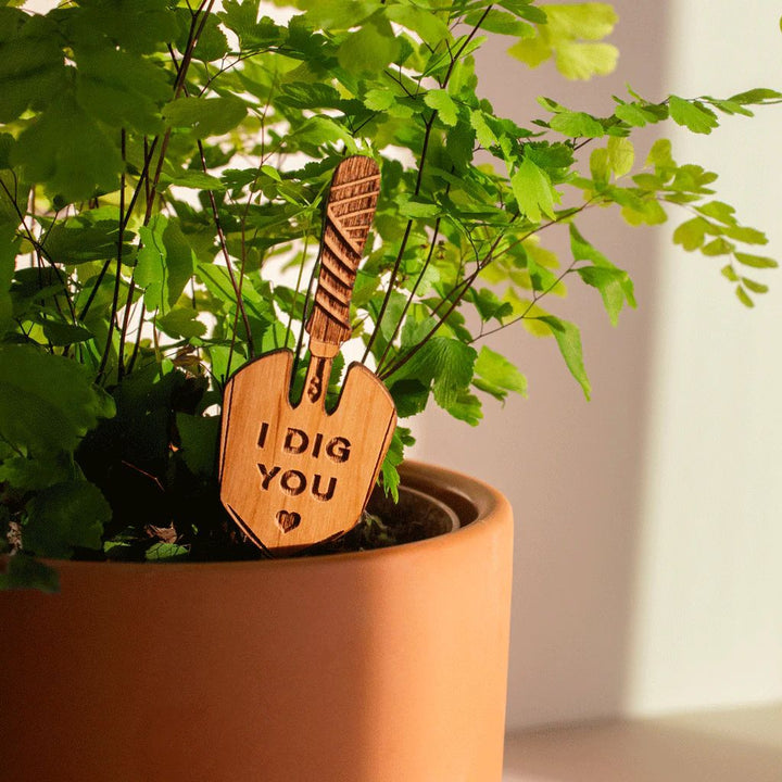 Wooden Plant Stand & Indoor Plant Gift, Suitable for Women, Plant Lovers, Birthday Gifts