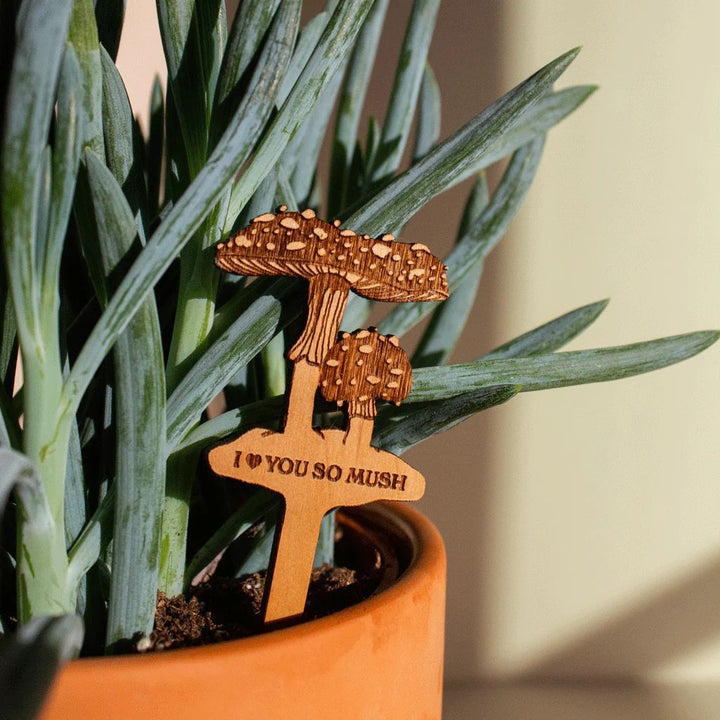 Wooden Plant Stand & Indoor Plant Gift, Suitable for Women, Plant Lovers, Birthday Gifts