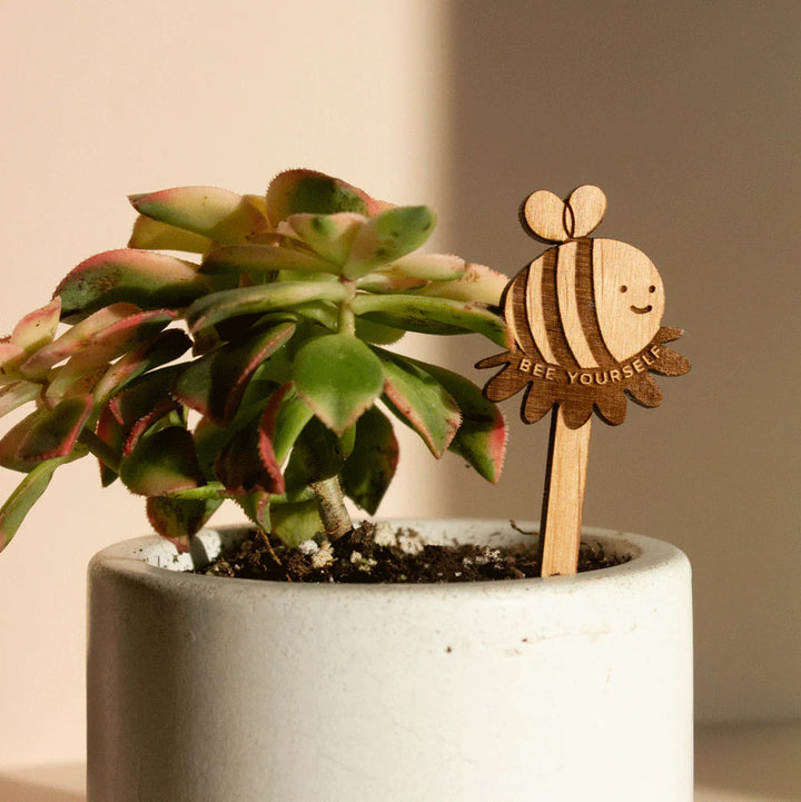 Wooden Plant Stand & Indoor Plant Gift, Suitable for Women, Plant Lovers, Birthday Gifts