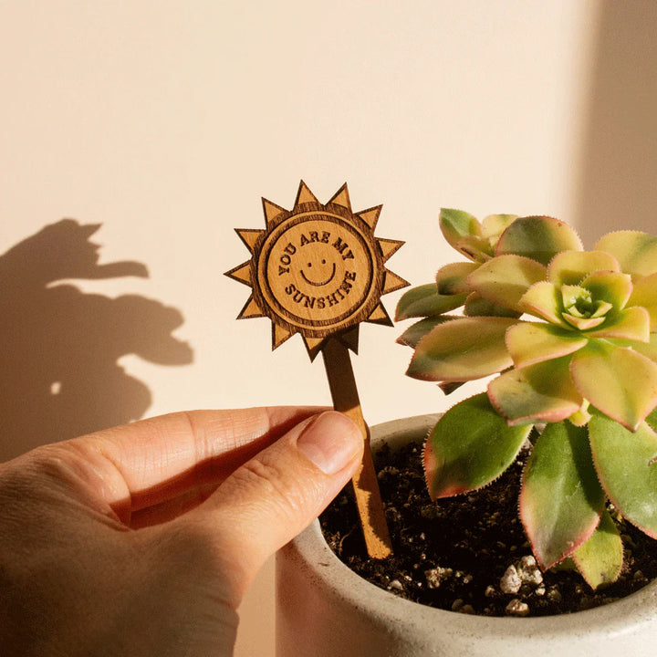Wooden Plant Stand & Indoor Plant Gift, Suitable for Women, Plant Lovers, Birthday Gifts