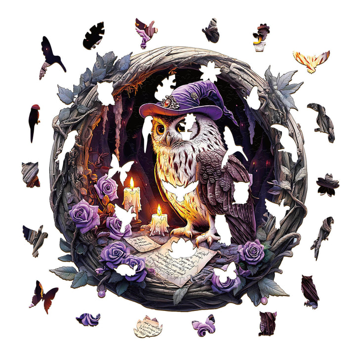 3D Witch Owl Wooden Jigsaw Puzzle