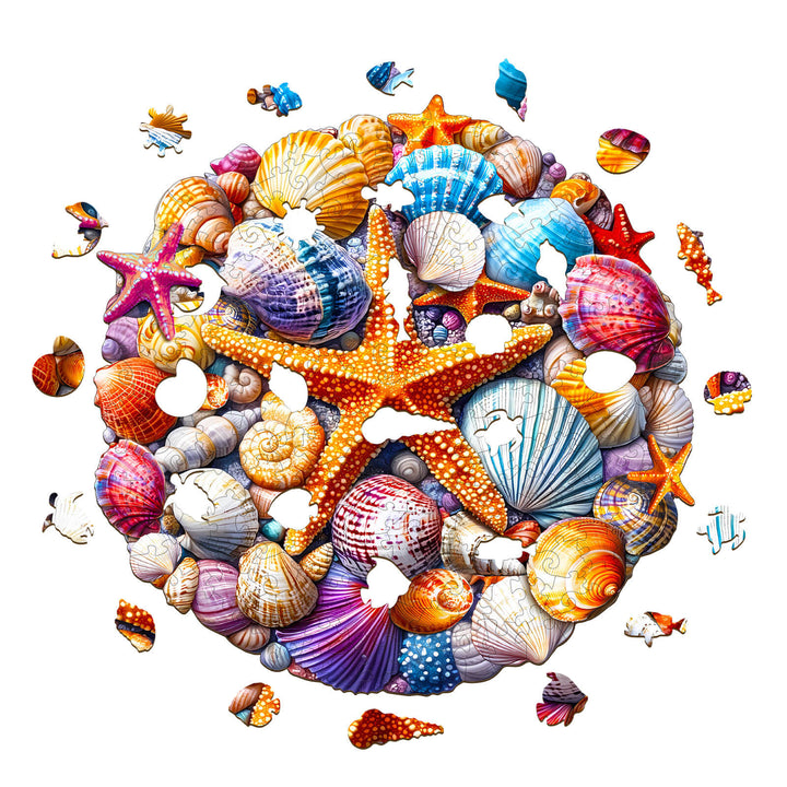 Colorful Shells Wooden Jigsaw Puzzle