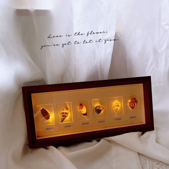 Shell Insect Specimen Photo Frame Ornaments