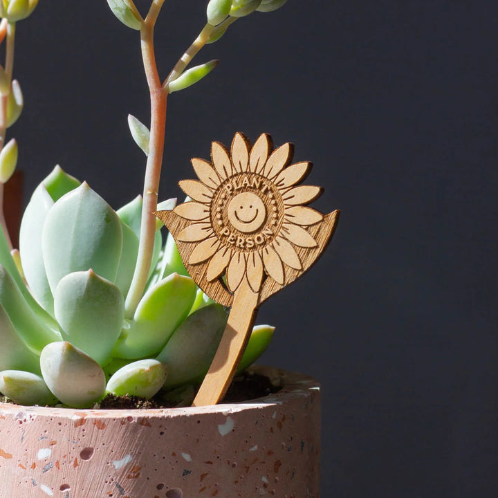 Wooden Plant Stand & Indoor Plant Gift, Suitable for Women, Plant Lovers, Birthday Gifts