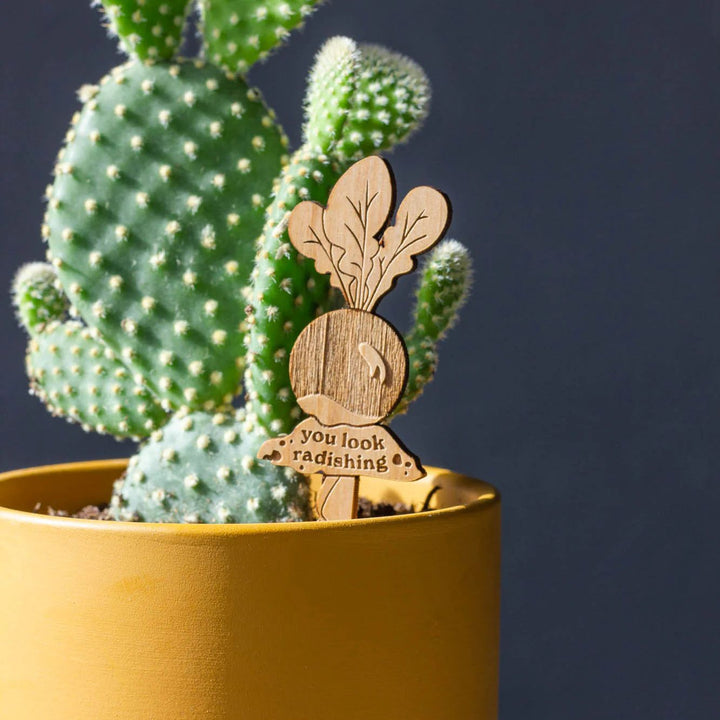 Wooden Plant Stand & Indoor Plant Gift, Suitable for Women, Plant Lovers, Birthday Gifts