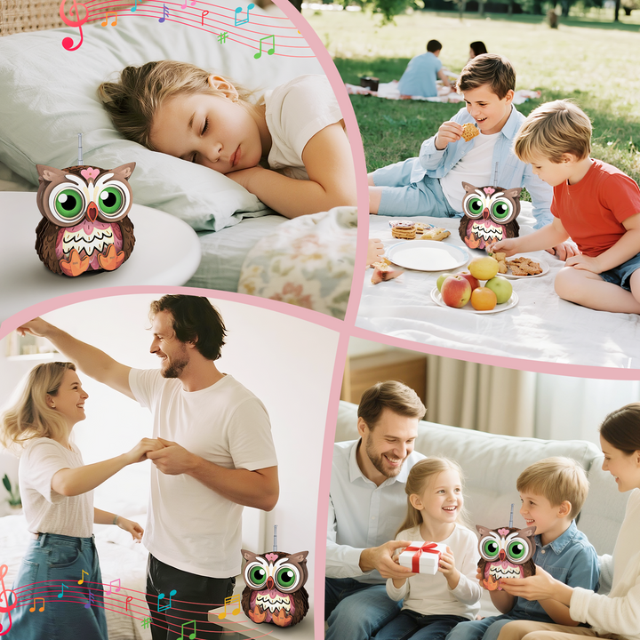 Owl——Bluetooth Speaker & Radio Series