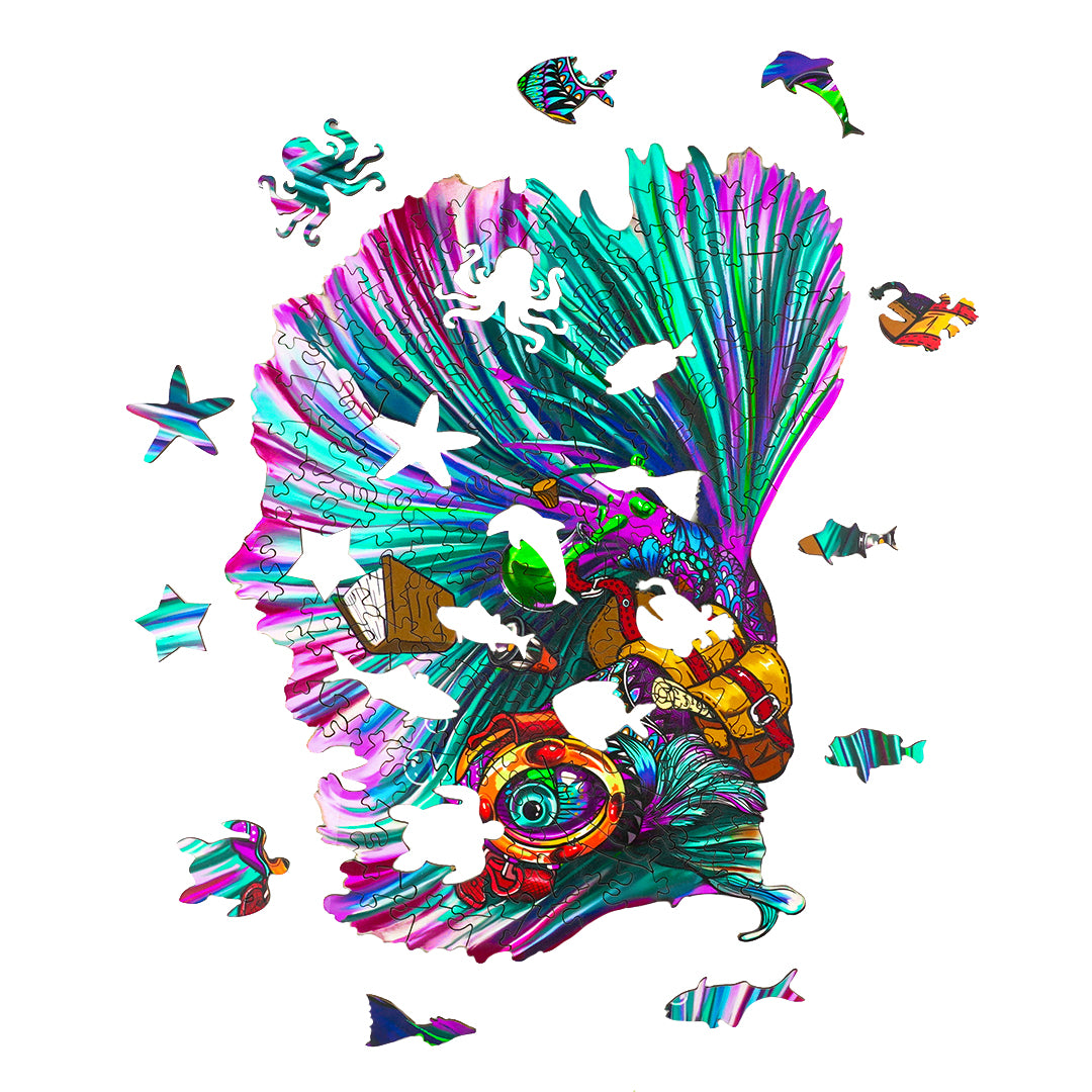 Betta aventureux